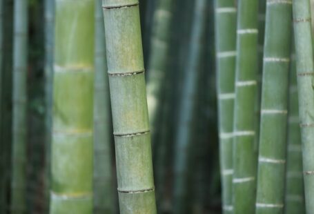 Bamboo Yarn - green bamboo shoots